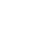Active Icon 1